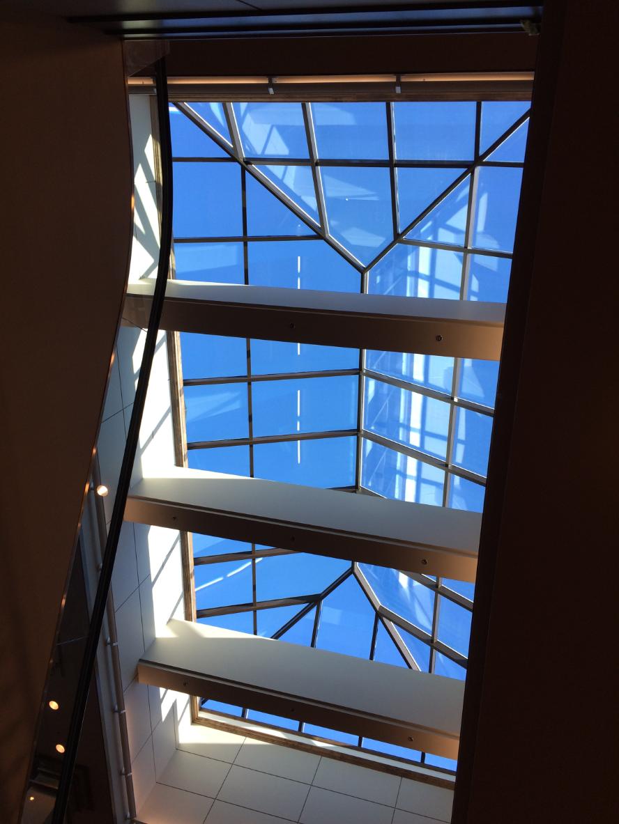 Brightening the Wasatch Front: Why Salt Lake City Homeowners are Switching to Natural Daylighting